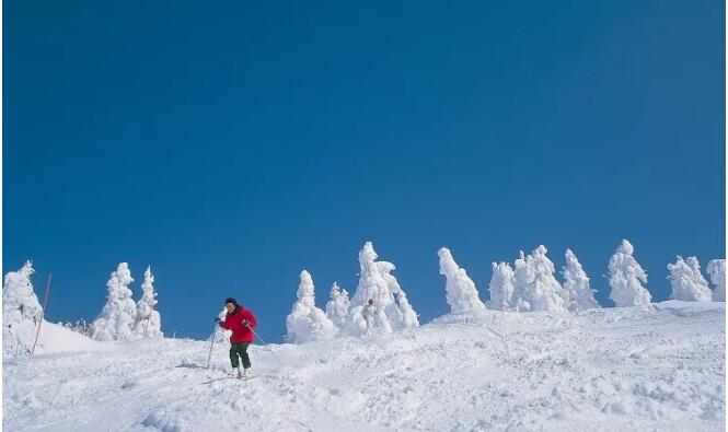 穿上雪地鞋,穿行在造型各异的树冰之间,像是步入了奇幻的冰雪王国.