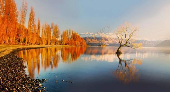 新西兰赏秋最佳时间,新西兰秋色最好的时候