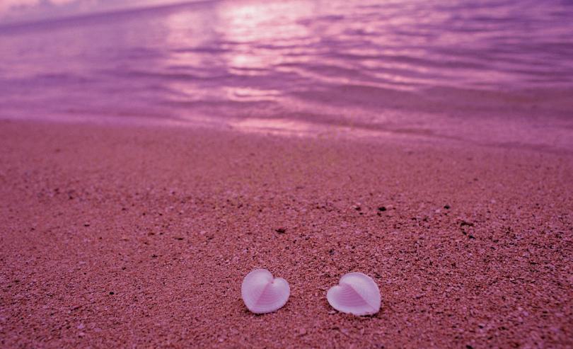 马尔代夫粉色沙滩在哪个岛?不能错过的粉色沙滩