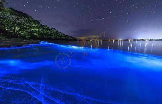 马尔代夫荧光海滩