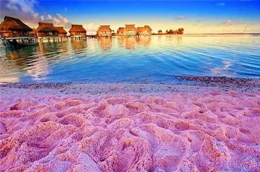 马尔代夫粉色岛在哪?这里的粉色沙滩最美