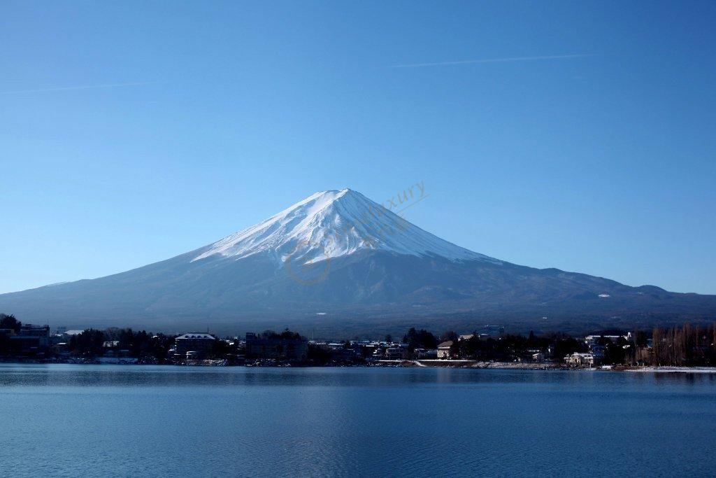 生态公园"天进山"富士芝樱祭"这种旅游景点,全是远眺富士山的好去处