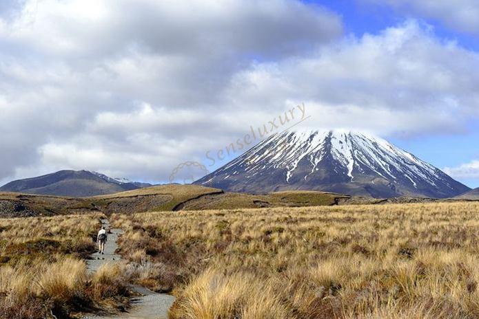 新西兰都有哪些有特色火山风景?