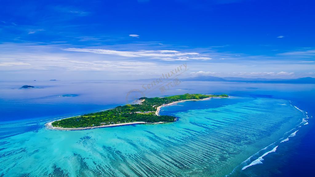 这由于斐济的海平面底下许多 鱼