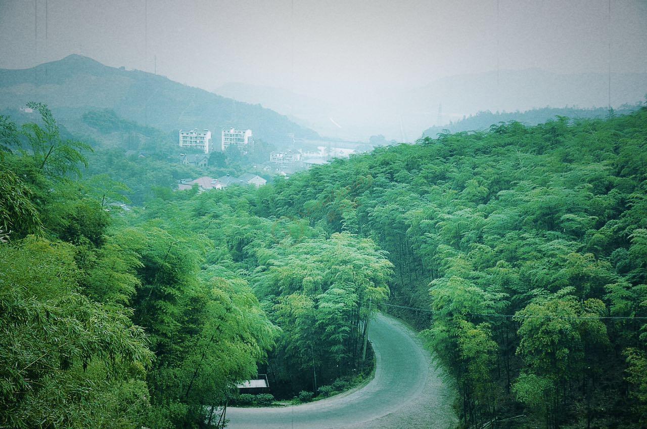 提前了解莫干山旅游中需要特别注意的事情