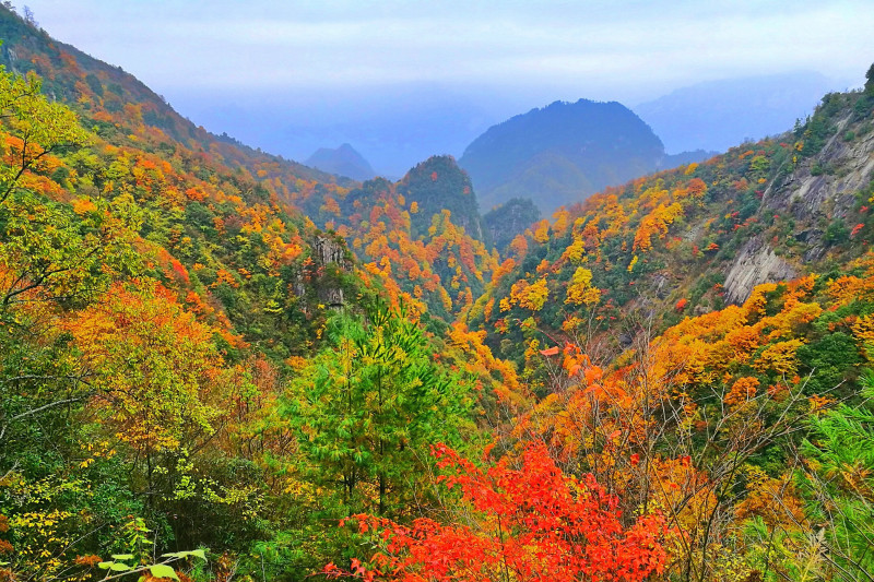 去四川光雾山赏红叶的最佳时节是什么时候?