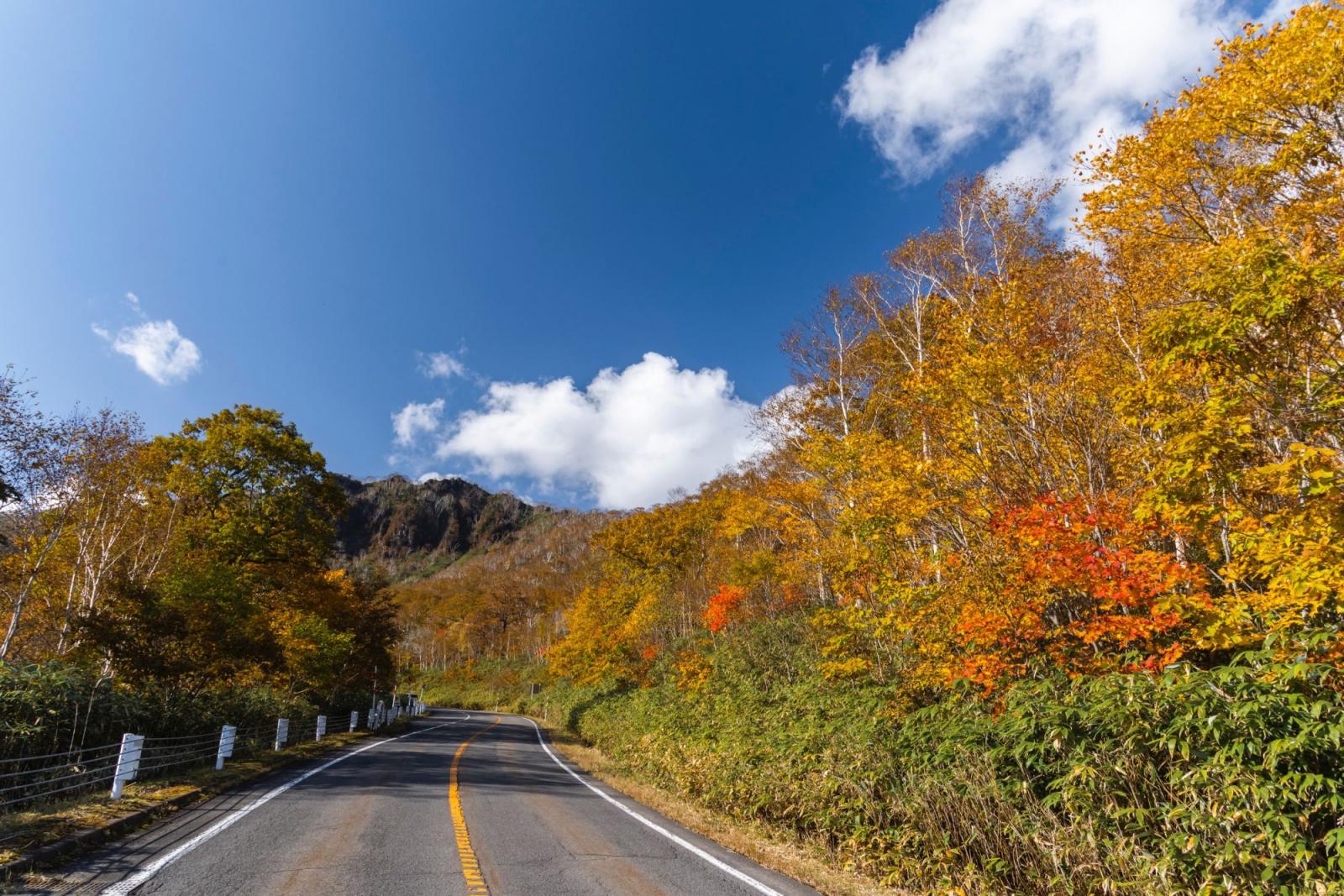 北海道