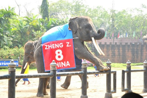 欧式三番大象园 （Chang Puak Camp Damnoensaduak）