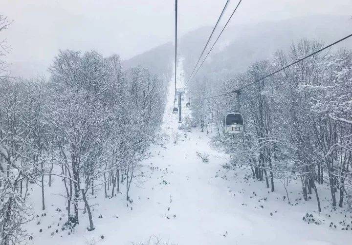 日本亲子滑雪目的地之二世谷指南