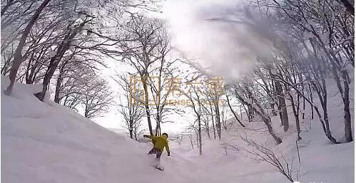 北海道二世古滑雪
