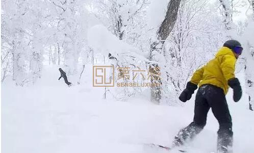 北海道二世古滑雪