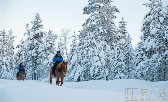 雪地上骑马
