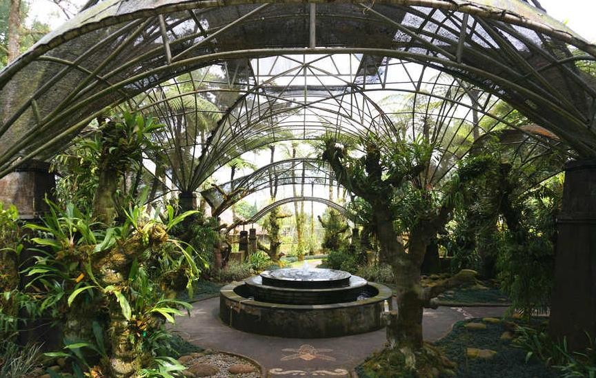 巴厘植物园Bali Botanic Garden