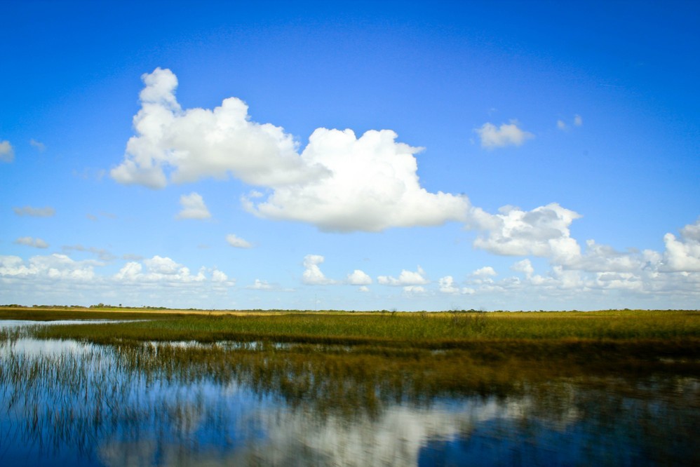  大沼泽地国家公园 Everglades National Park