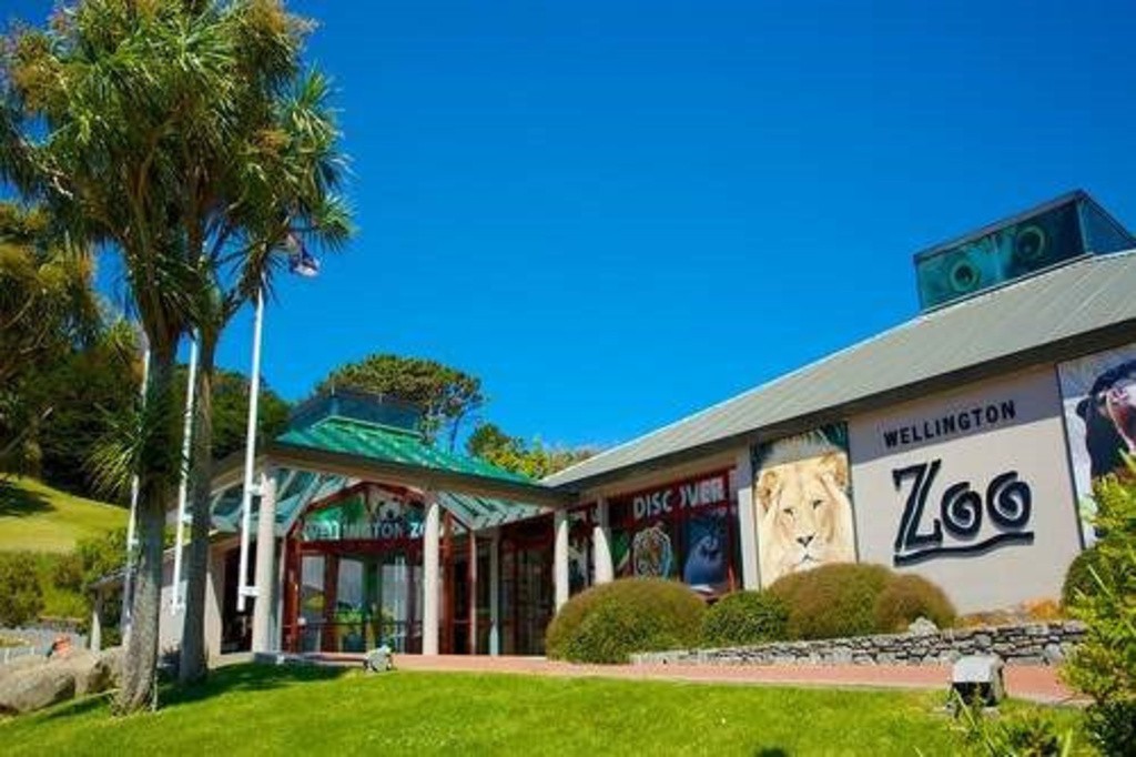 惠灵顿动物园Wellington Zoo