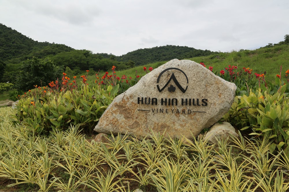 华欣葡萄酒庄园(Hua Hin Hills Vineyard)