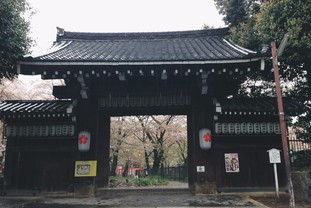 平野神社Hirano Shrine
