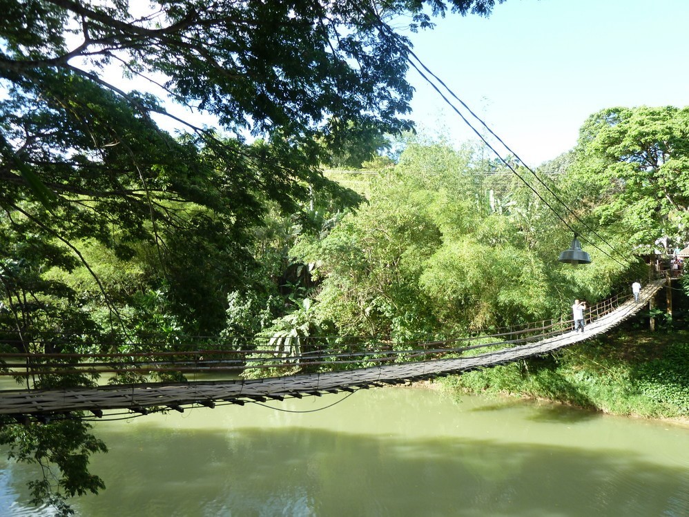 薄荷吊桥Hanging Bridge in Bohol
