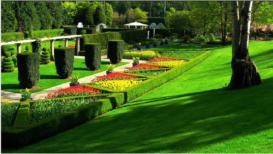 范度森植物园(VanDusen Botanical Garden)
