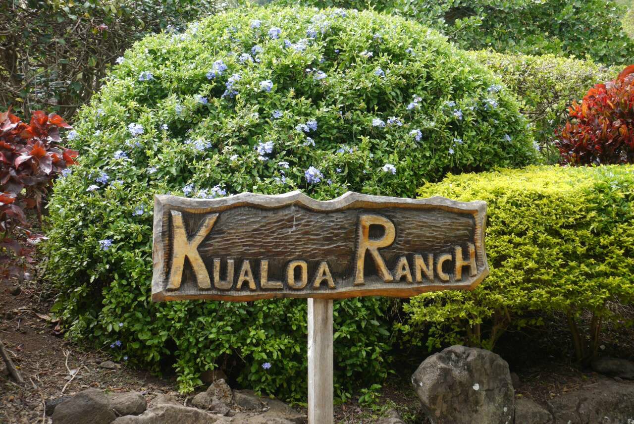 古兰尼牧场(Kualoa Ranch)