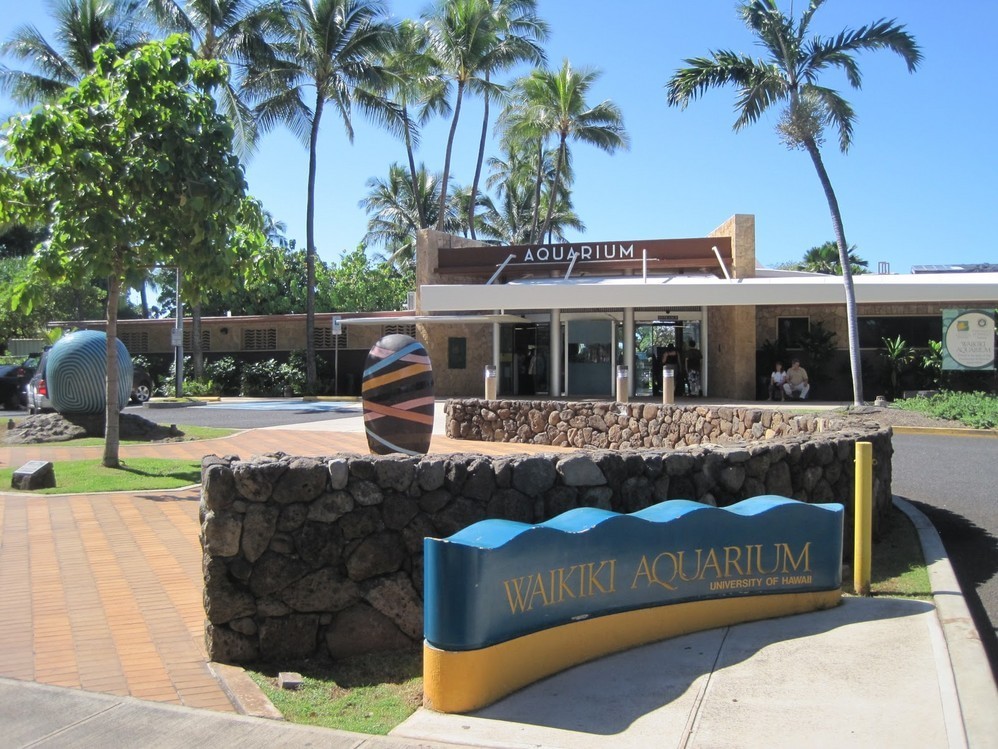 威基基水族馆(Waikiki Aquarium)