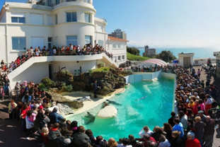 比亚里茨海洋博物馆Biarritz Aquarium