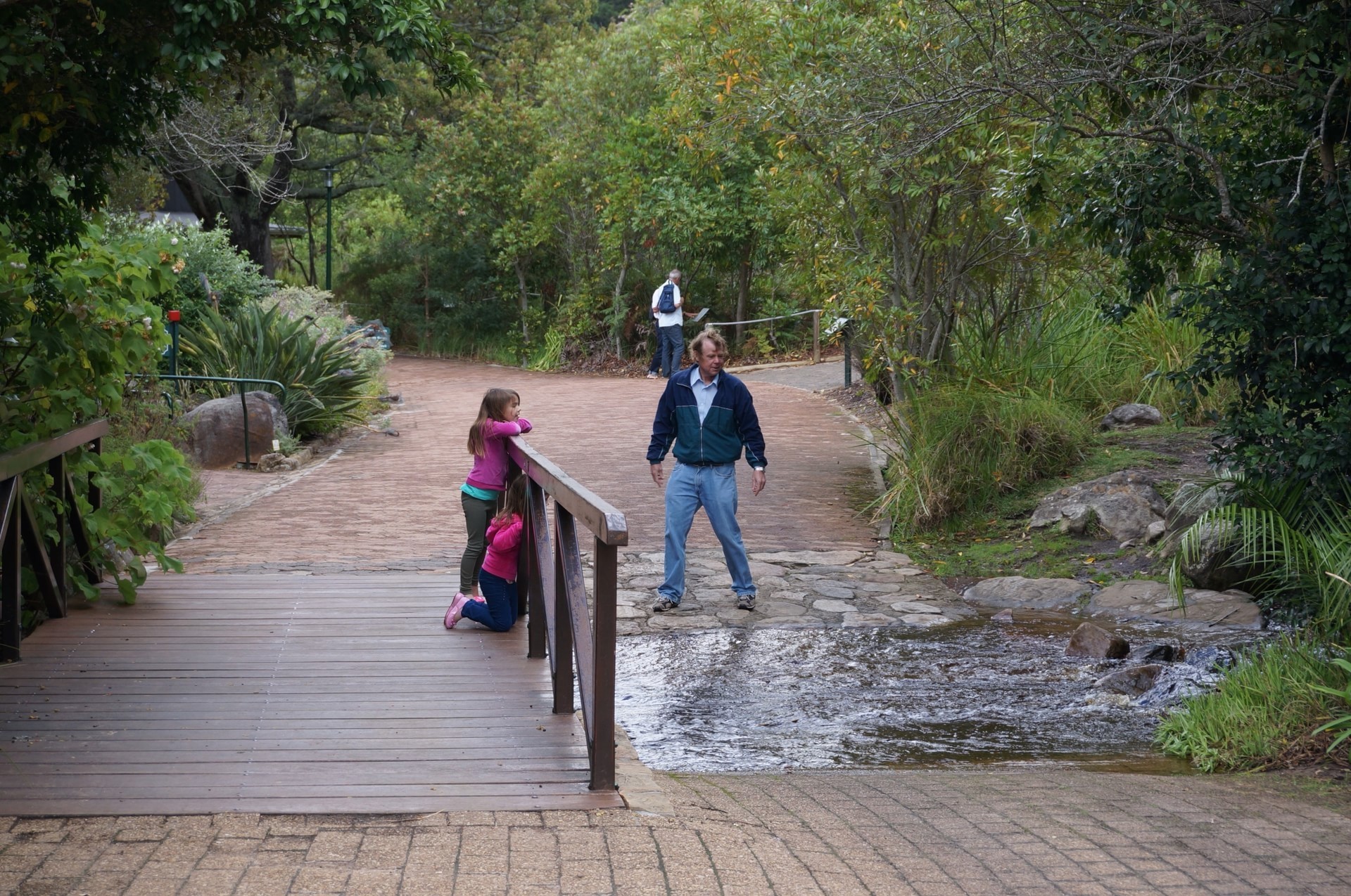康斯坦博西国家植物园(Kirstenbosch National Botanical Garden)