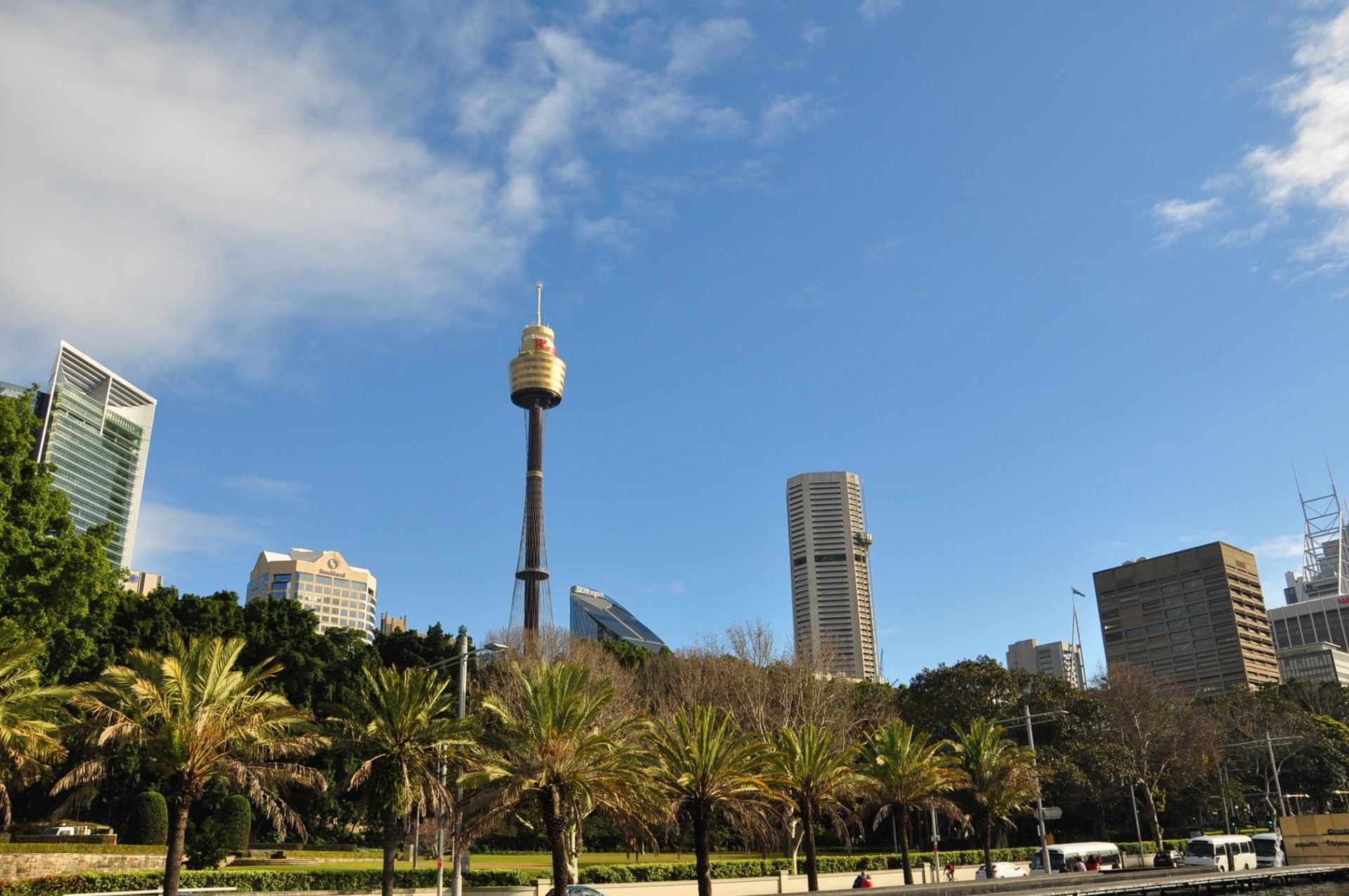 悉尼塔(Sydney Tower)