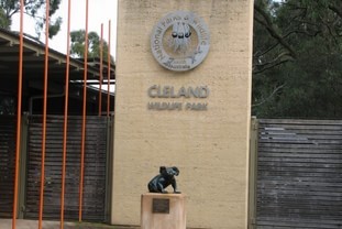 格莱兰德动物园(Cleland wildlife park)