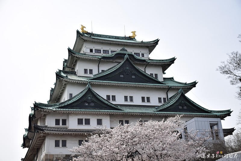 名古屋城(nagoya castle)