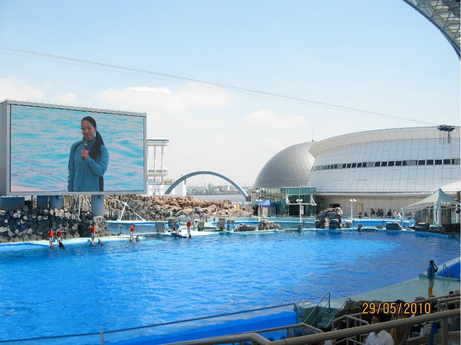 名古屋港水族馆(Port of Nagoya Public Aquarium60)