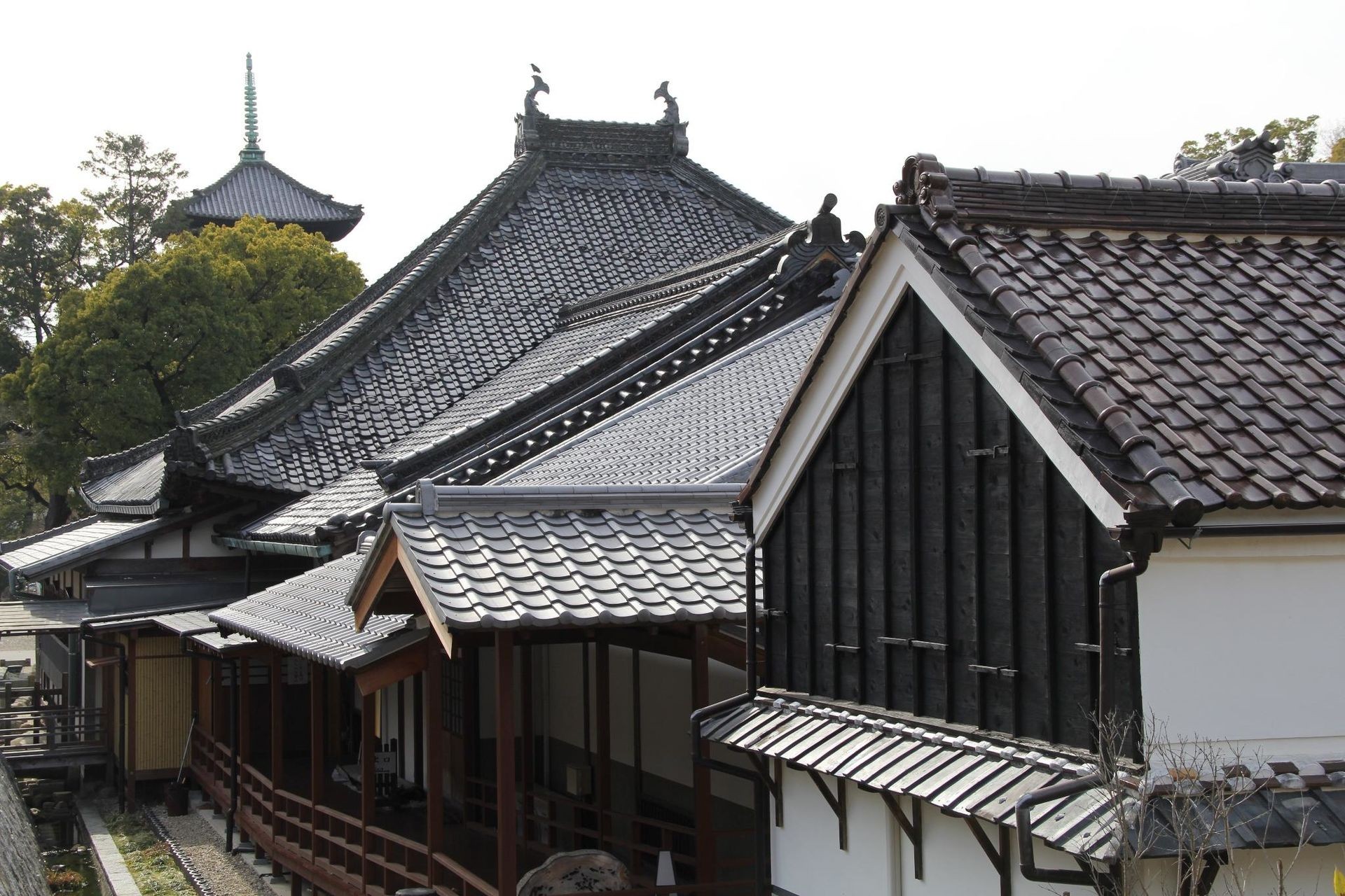 兴正寺(Kōshō-ji)