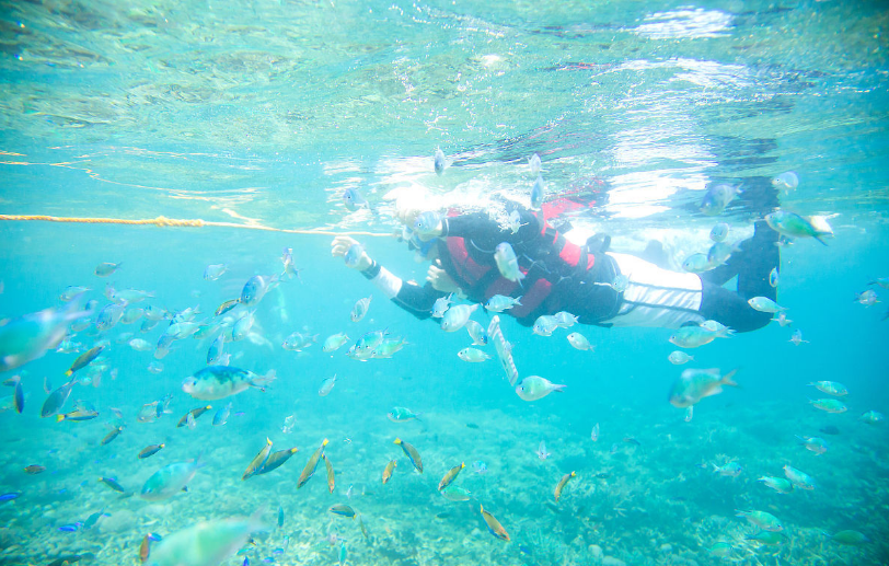 来菲律宾长滩岛旅游，怎能错过潜水