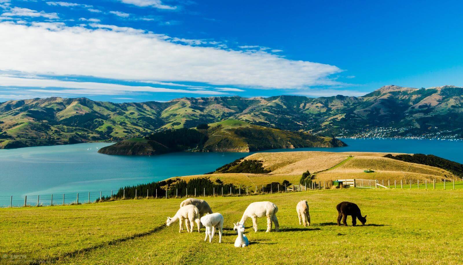新西兰旅游攻略，世界上最后一片净土