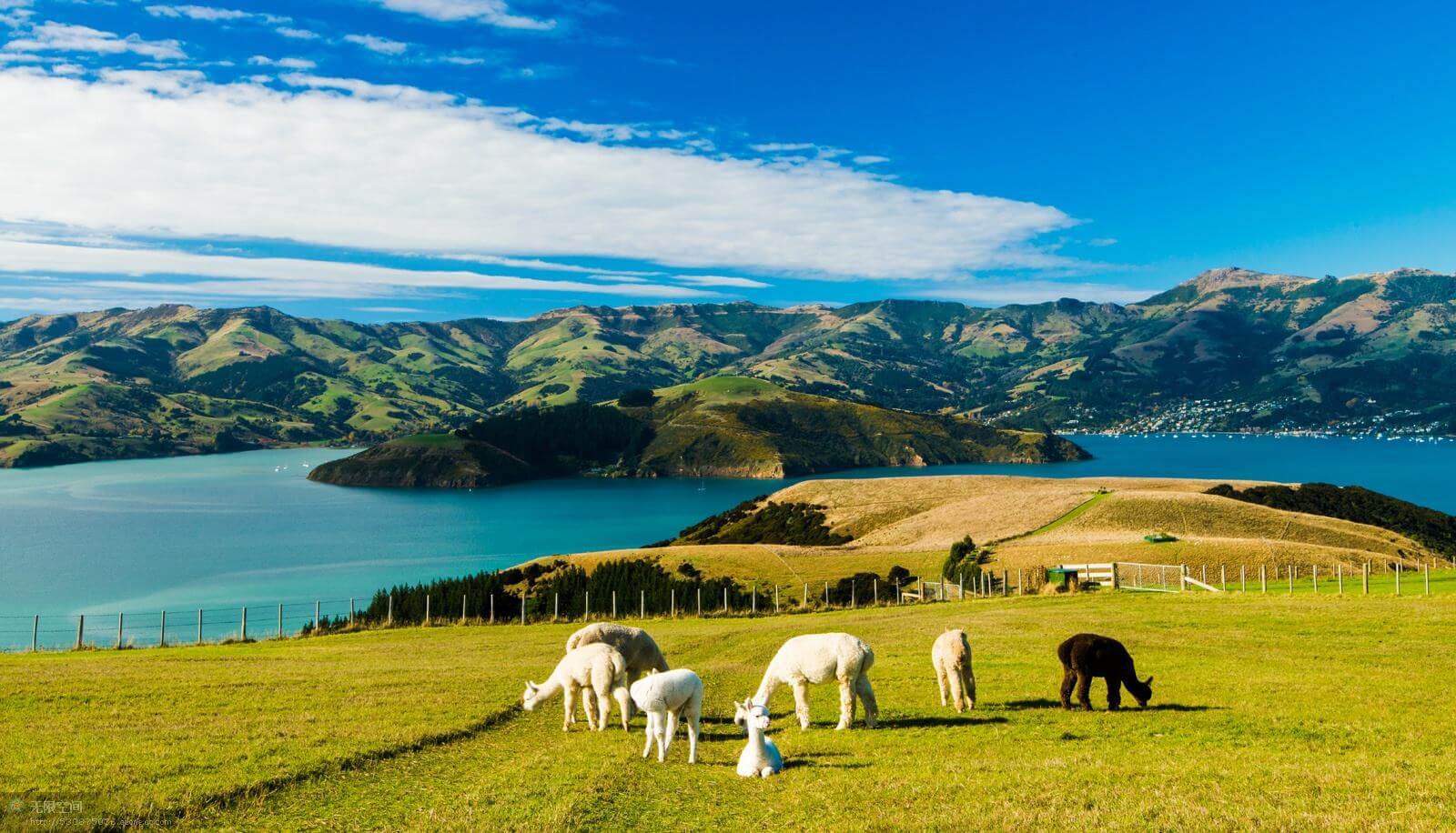 新西兰新西兰旅游攻略，世界上最后一片净土