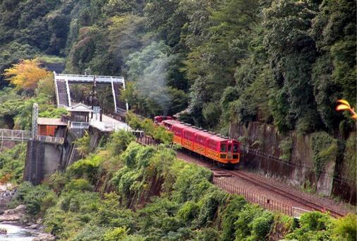 京都岚山小火车攻略岚山小火车搭乘攻略