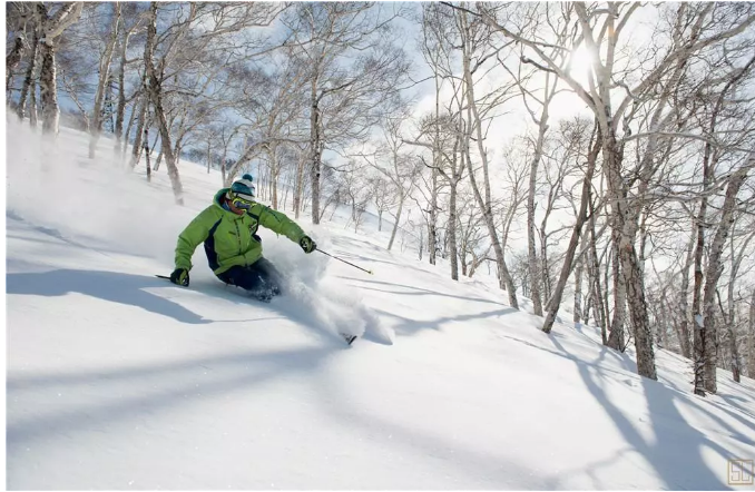 富良野適合:有滑雪基礎的朋友