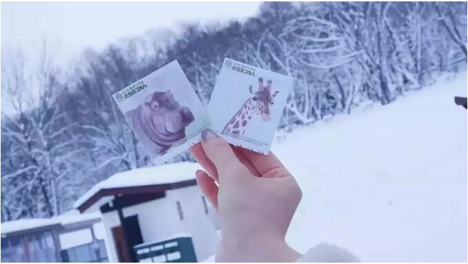 去北海道旅游五六天左右需要花多少钱 第六感度假