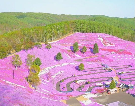 北海道星野度假村攻略 带你体验星野度假村森林餐厅 第六感度假