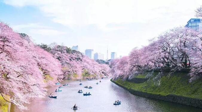 日本旅游哪个季节最好 日本适合旅行的季节 第六感度假