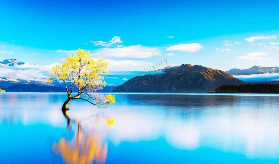 瓦纳卡湖孤独的树 感受新西兰不一样的美景 第六感度假