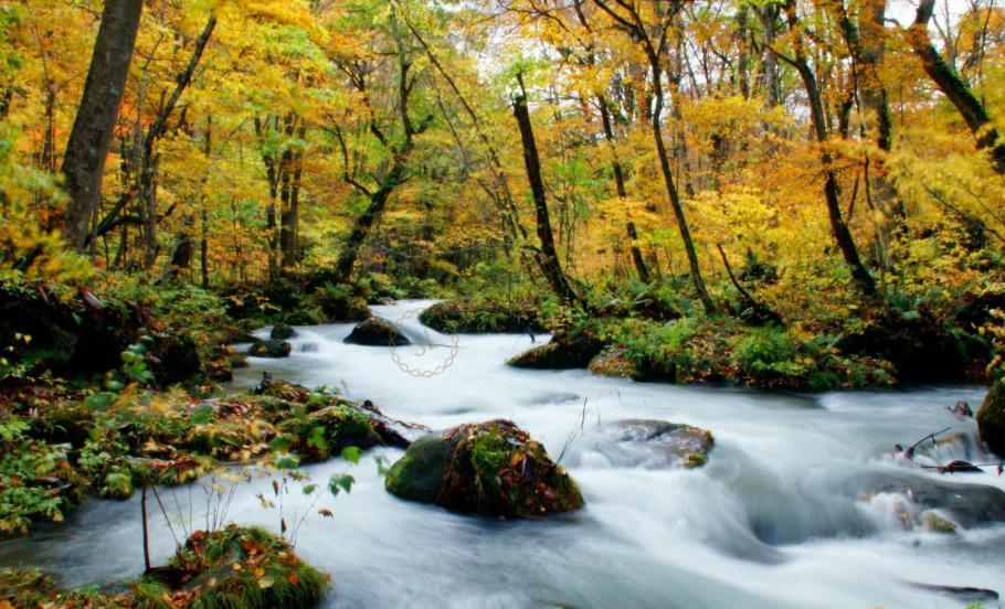 日本青森有什麼景點日本青森景點推薦