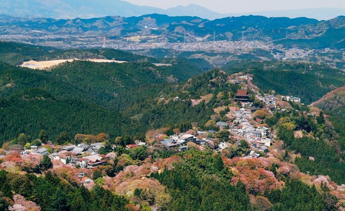 吉野山樱花攻略 日本吉野山看樱花 第六感度假