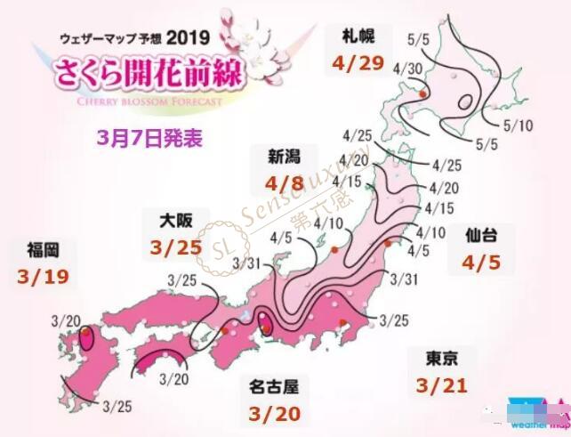 19北海道樱花开放时间 北海道樱花前线 第六感度假