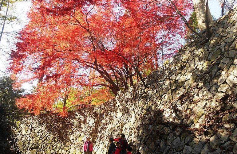 莫干山最佳观赏红叶季节