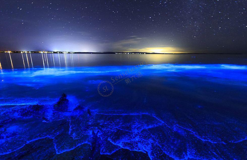 马尔代夫荧光海滩是哪个岛?世界上最美的海滩之一