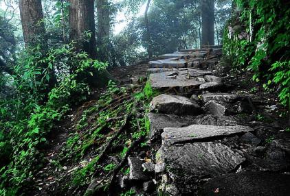 莫干山和天目山那个适合亲子游