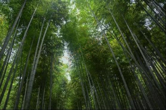 安吉自由行路线浙北大峡谷