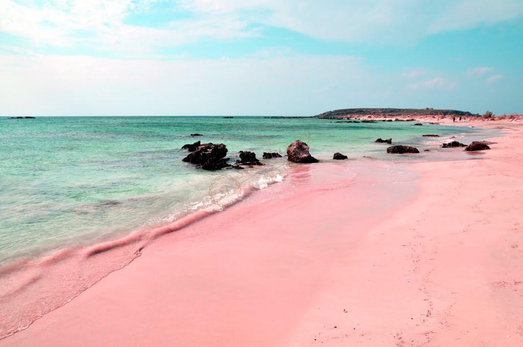 海边壁纸 粉色图片