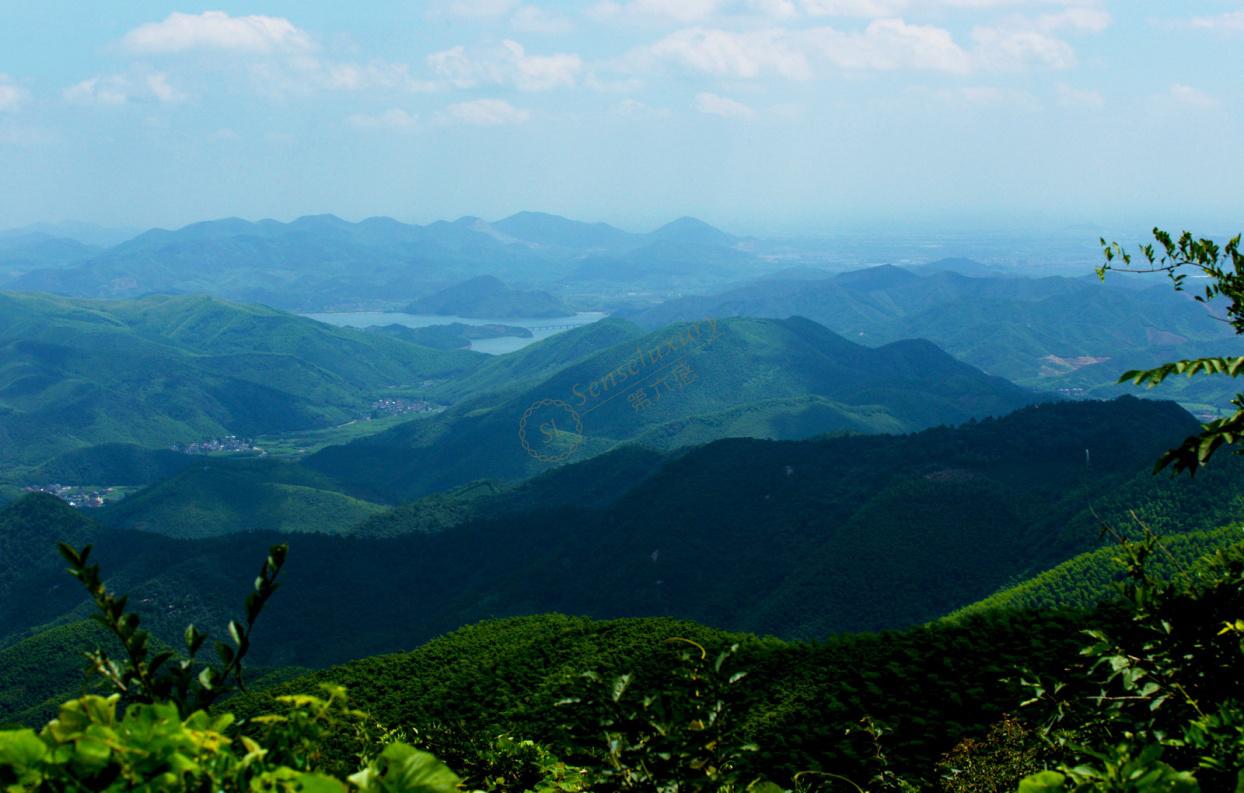 盛夏的莫干山——带狗旅行-莫干山旅游攻略-游记-去哪儿攻略